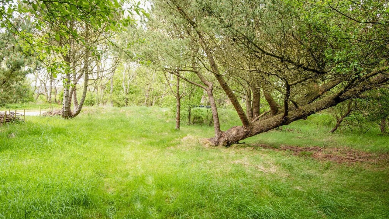 Photo of Outdoor in Hurup Thy