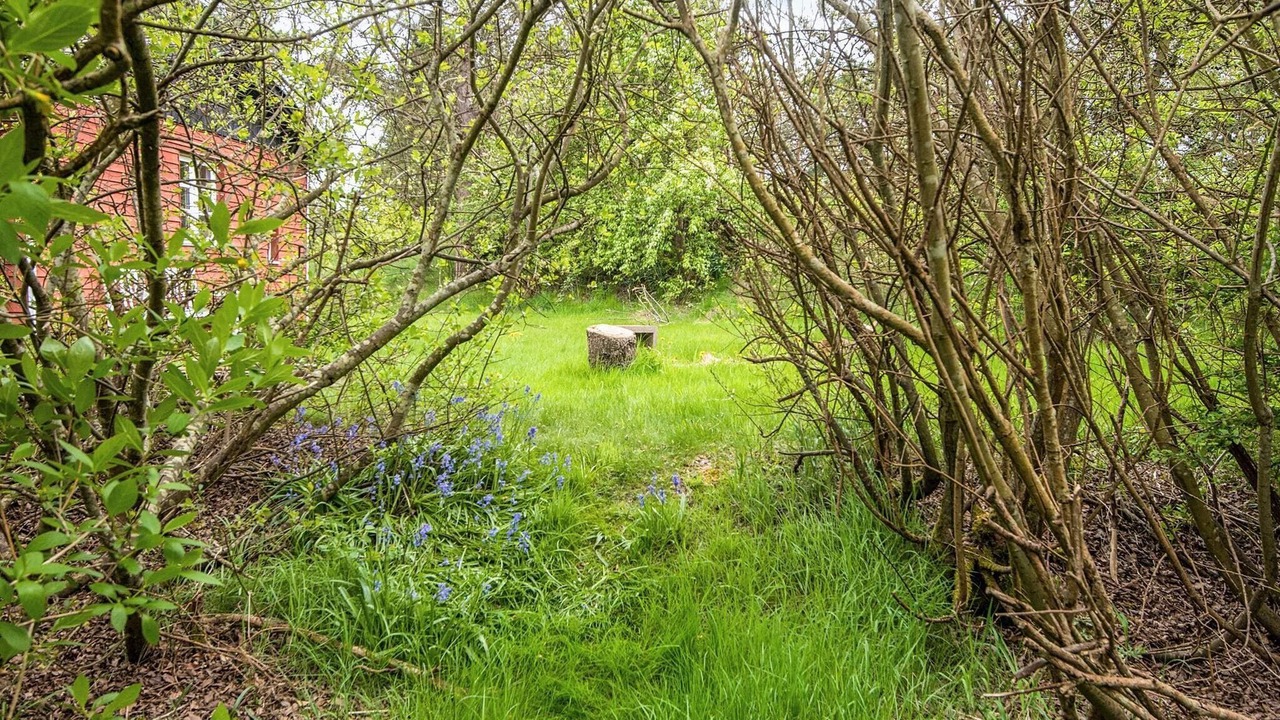 Photo of Outdoor in Hurup Thy