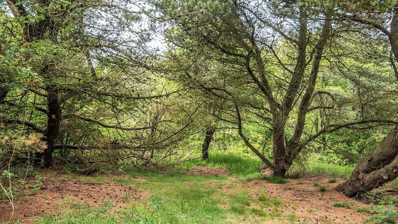 Photo of Outdoor in Hurup Thy