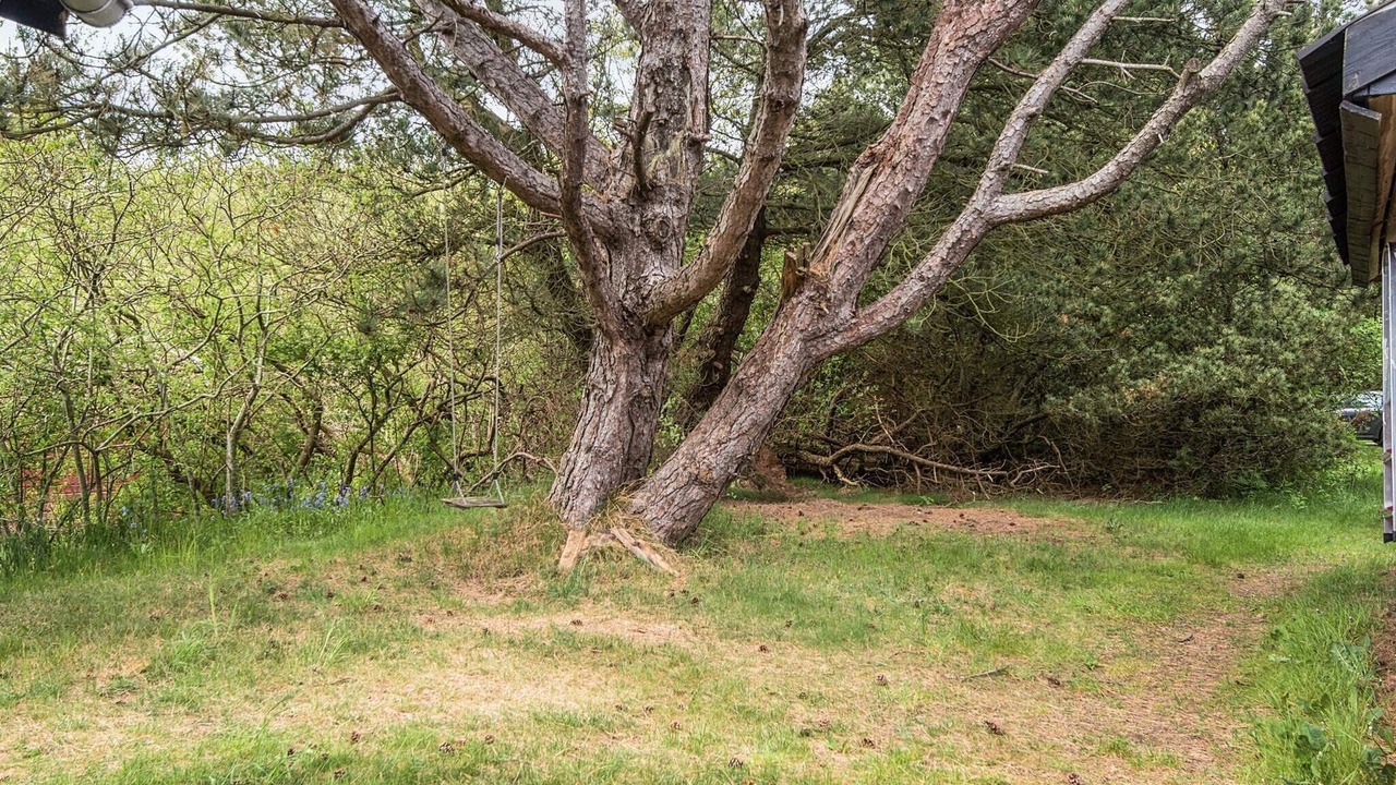Photo of Outdoor in Hurup Thy