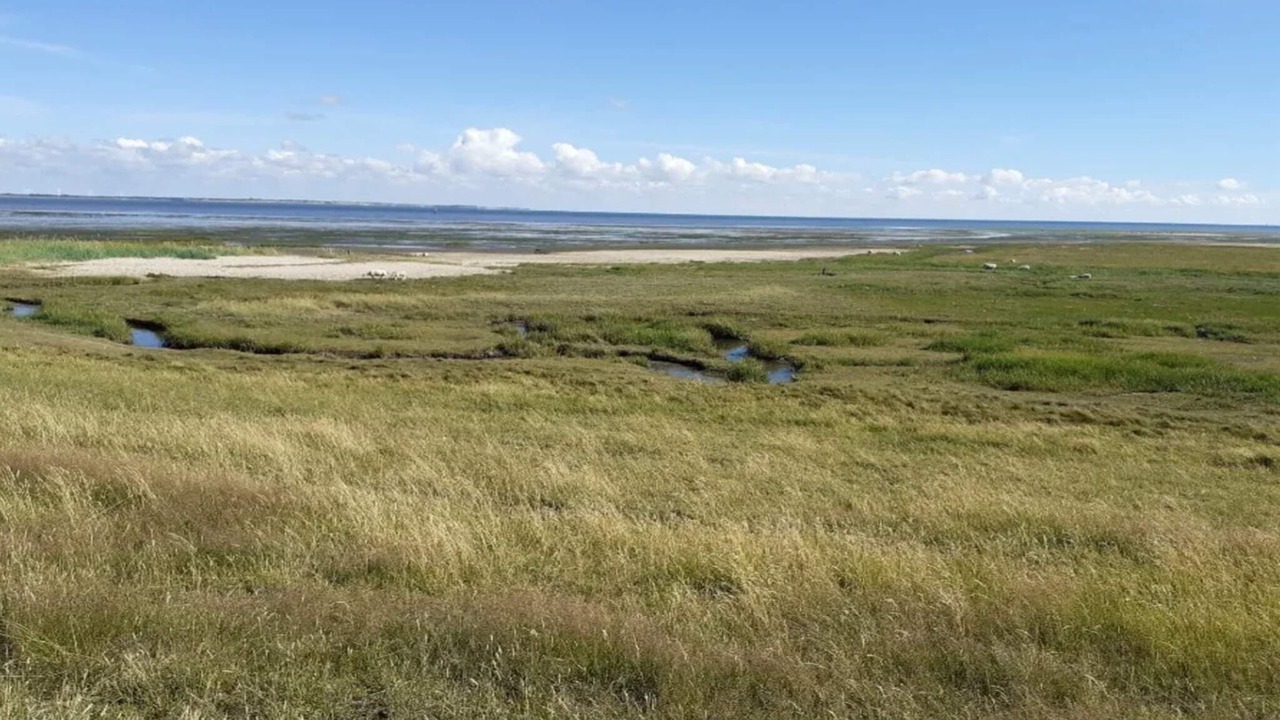 Photo of Others in Sønderstrand