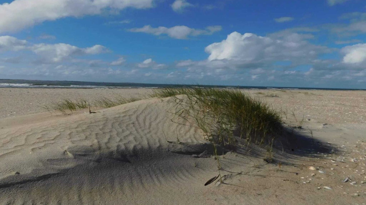 Photo of Others in Sønderstrand