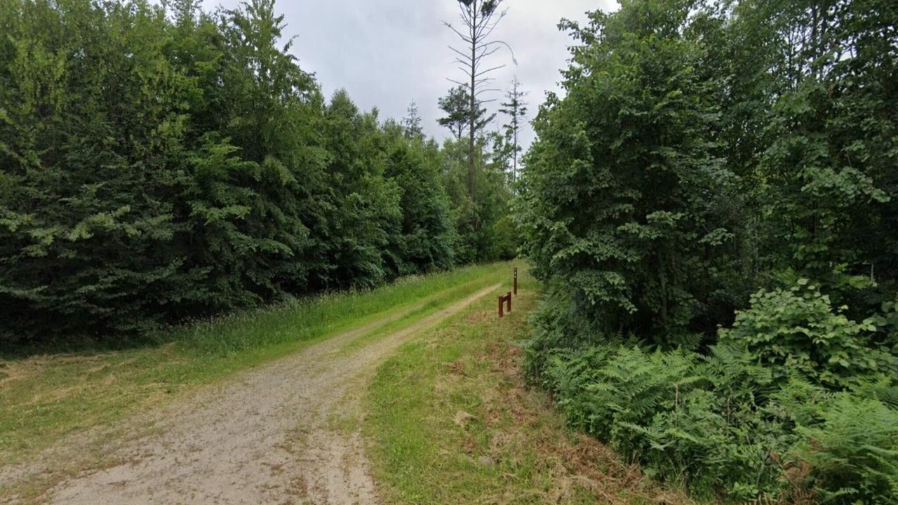 Photo of Others in Skaerbaek