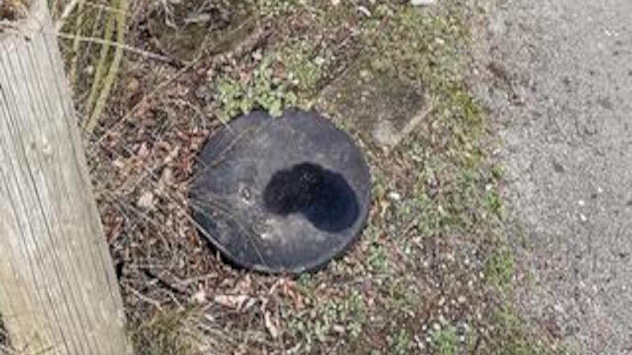 Photo of Others in Pøt Strandby