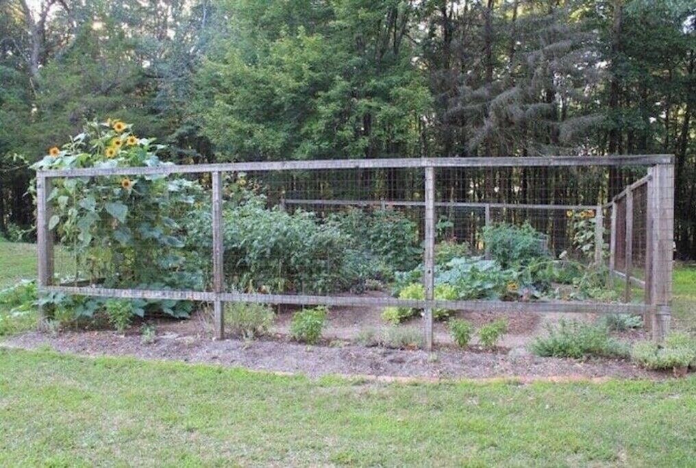 Photo of Outdoor in Turbotville