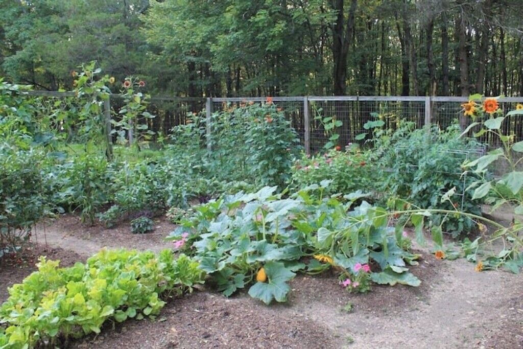 Photo of Outdoor in Turbotville