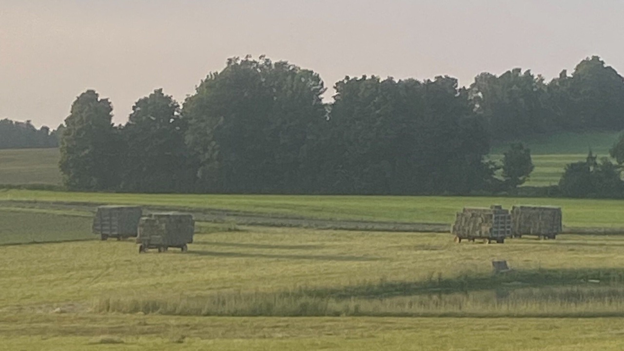 Photo of Others in Sprout Brook