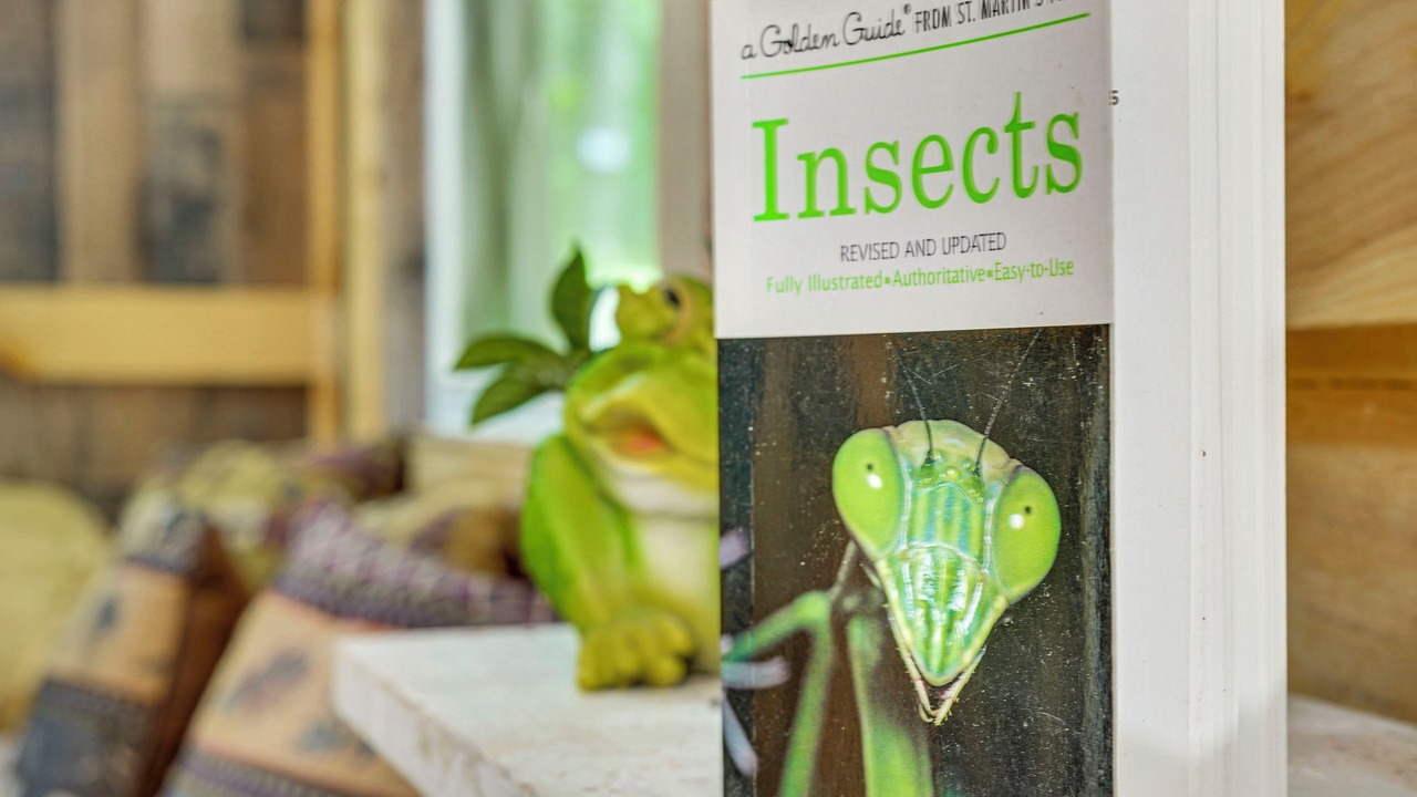 Photo of Others in Florence