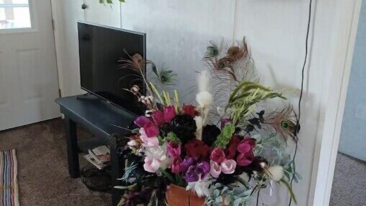 Photo of Others in Turbotville