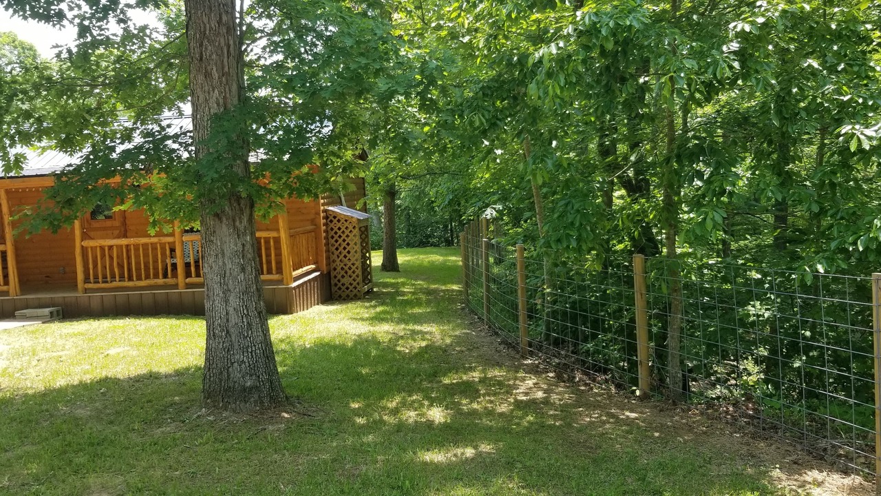 Photo of Outdoor in Beattyville
