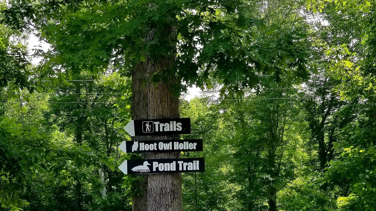Photo of Outdoor in Beattyville
