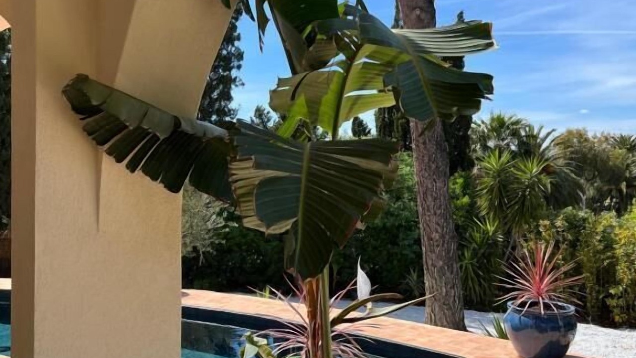 Photo of Outdoor in Saint-Tropez