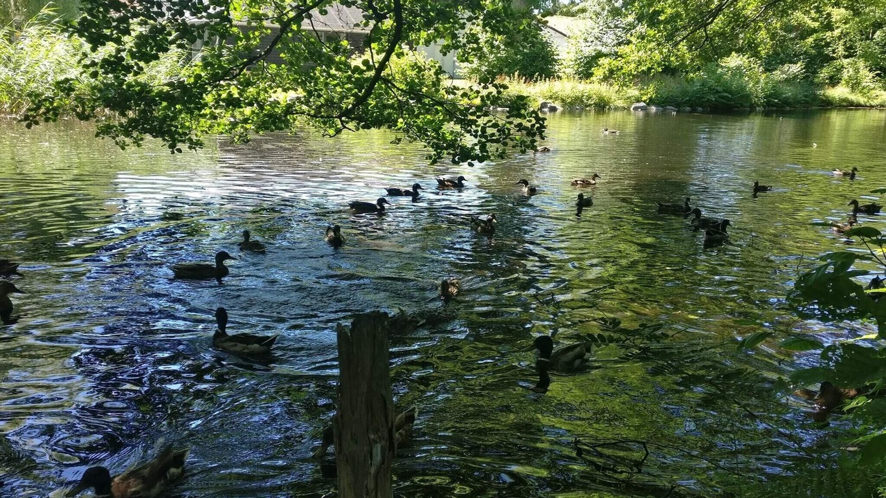 Photo of Others in Hadsund