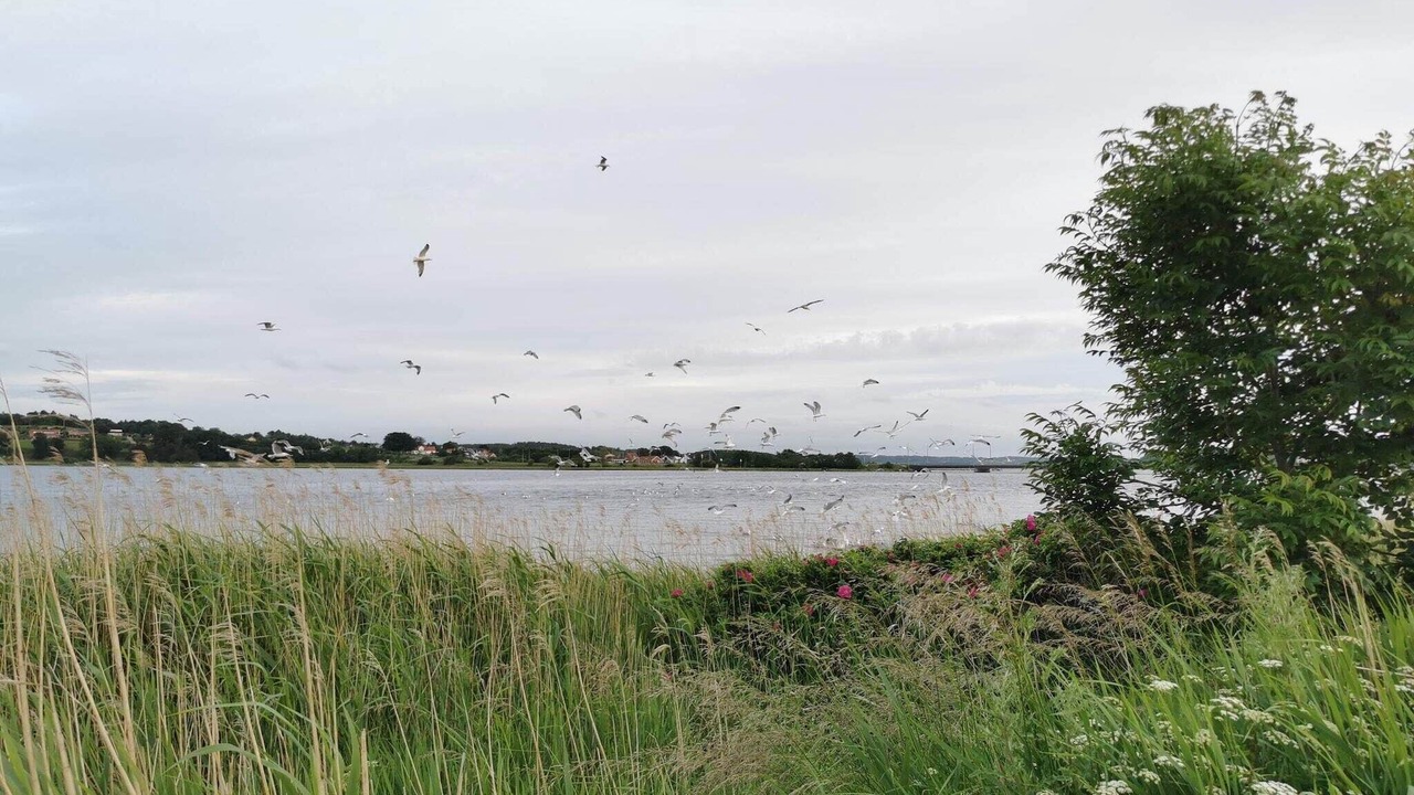 Photo of Others in Hadsund