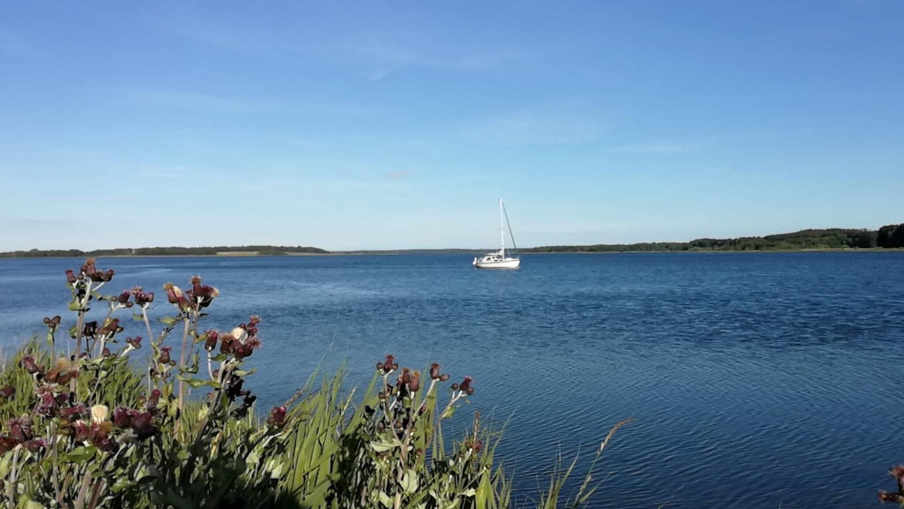 Photo of Others in Hadsund