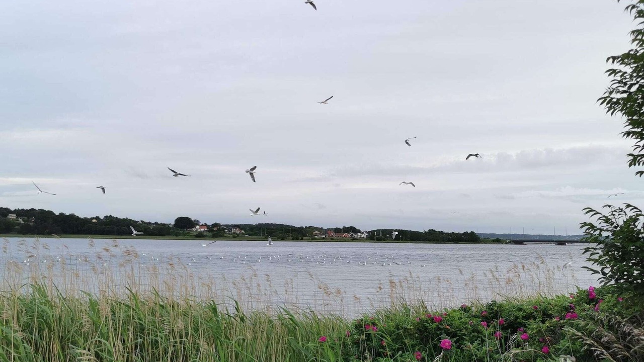 Photo of Others in Hadsund