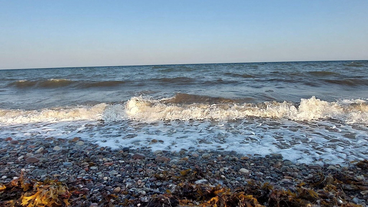 Photo of Others in Østerskov