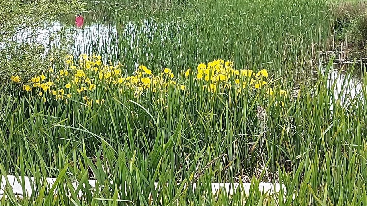 Photo of Others in Østerskov