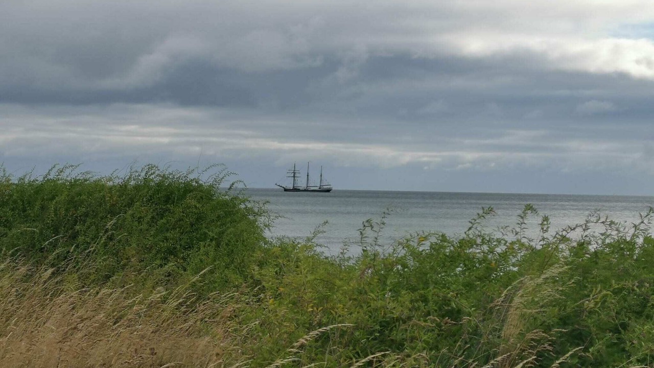 Photo of Others in Østerskov