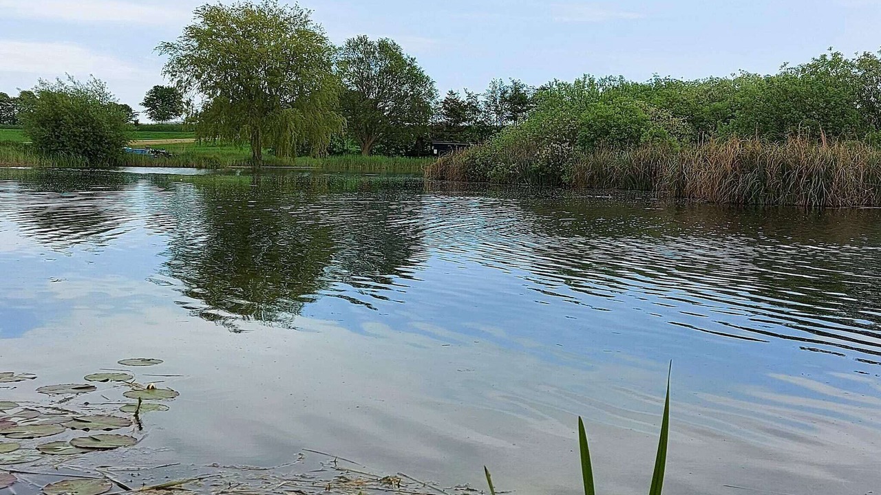 Photo of Others in Østerskov