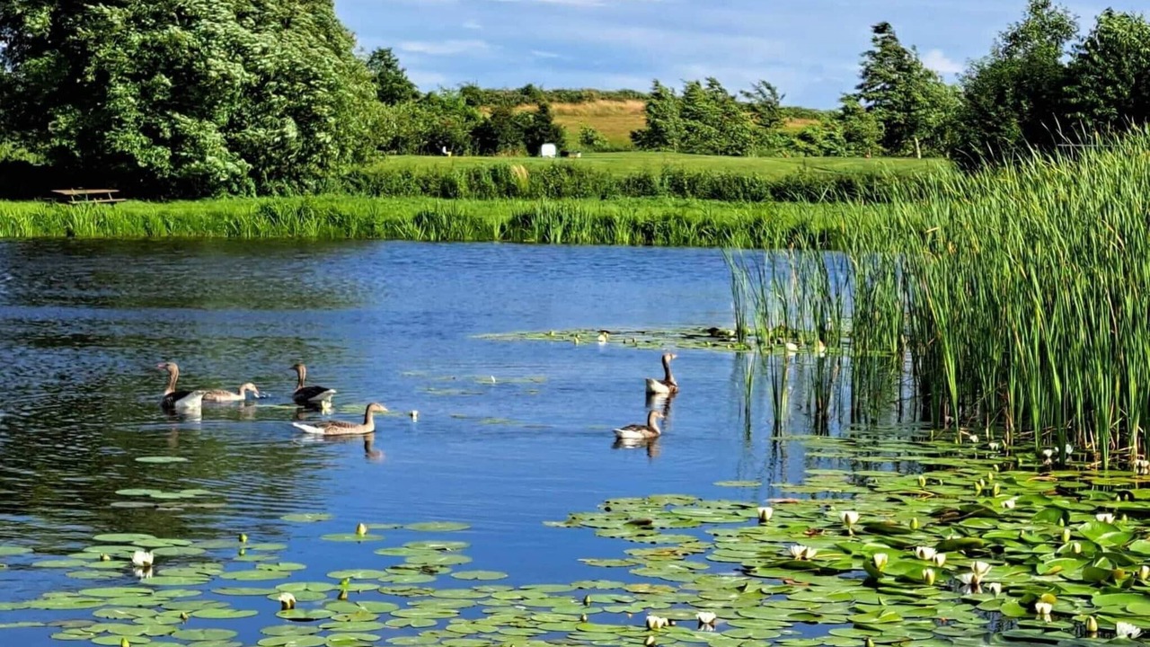 Photo of Others in Østerskov