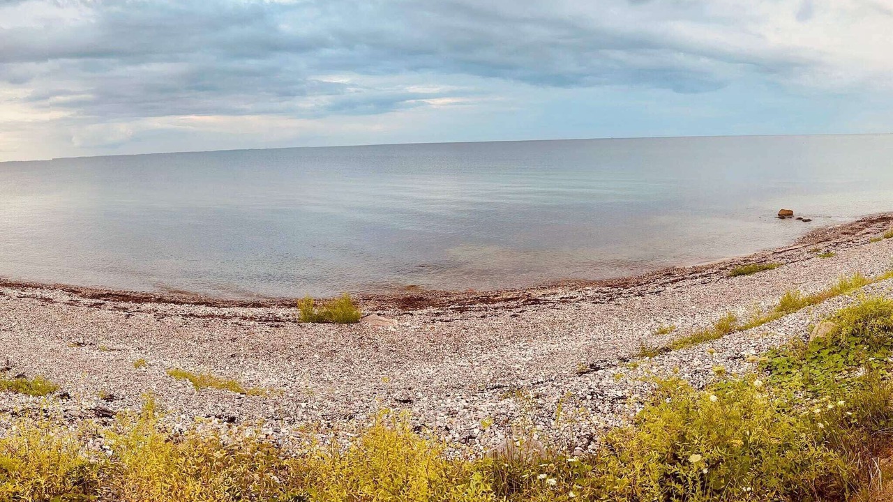 Photo of Others in Østerskov