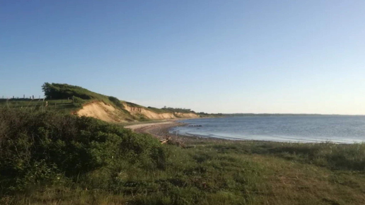 Photo of Others in Skastrup Strand