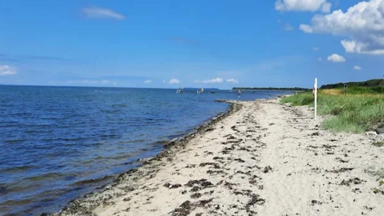 Photo of Others in Skastrup Strand