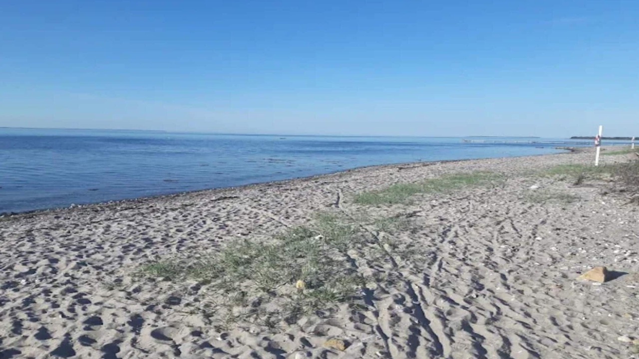 Photo of Others in Skastrup Strand