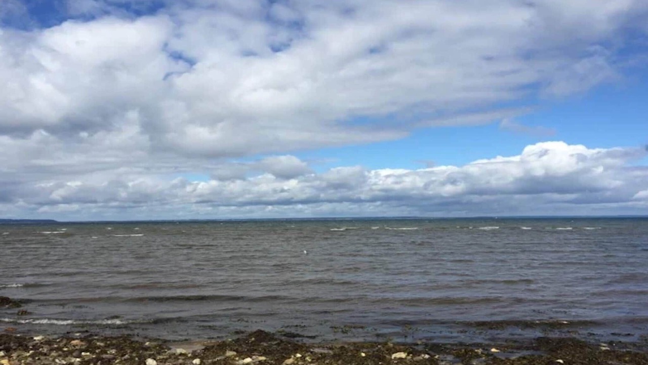 Photo of Others in Skastrup Strand