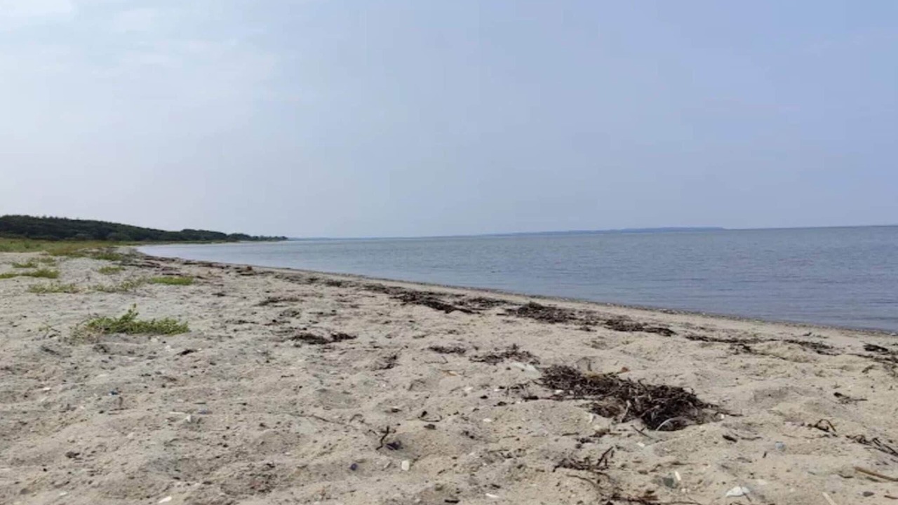 Photo of Others in Skastrup Strand