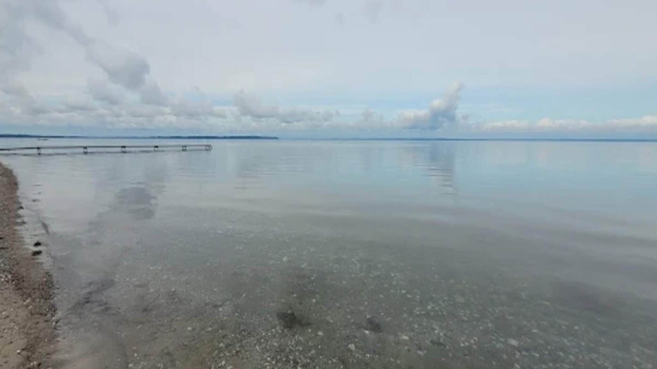 Photo of Others in Skastrup Strand