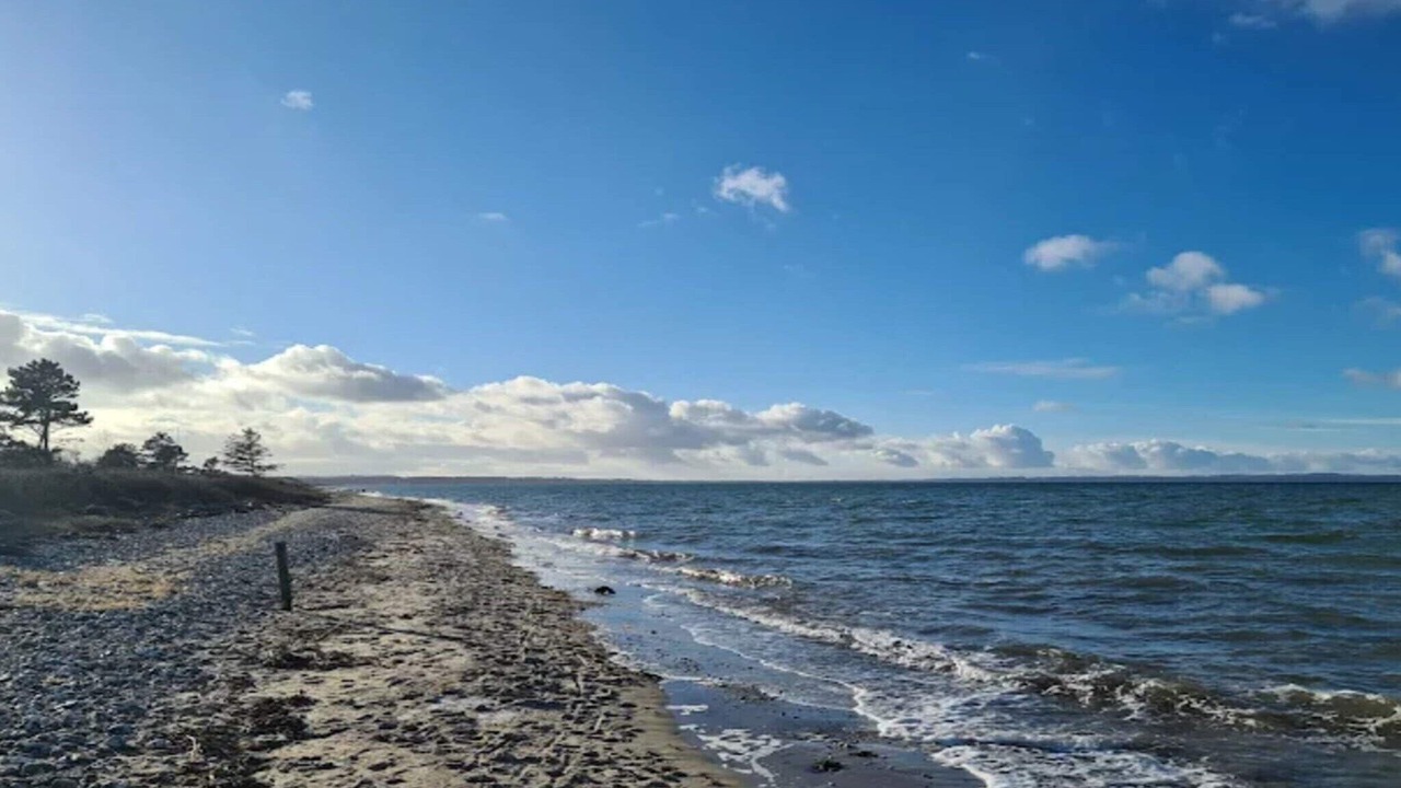 Photo of Others in Skastrup Strand