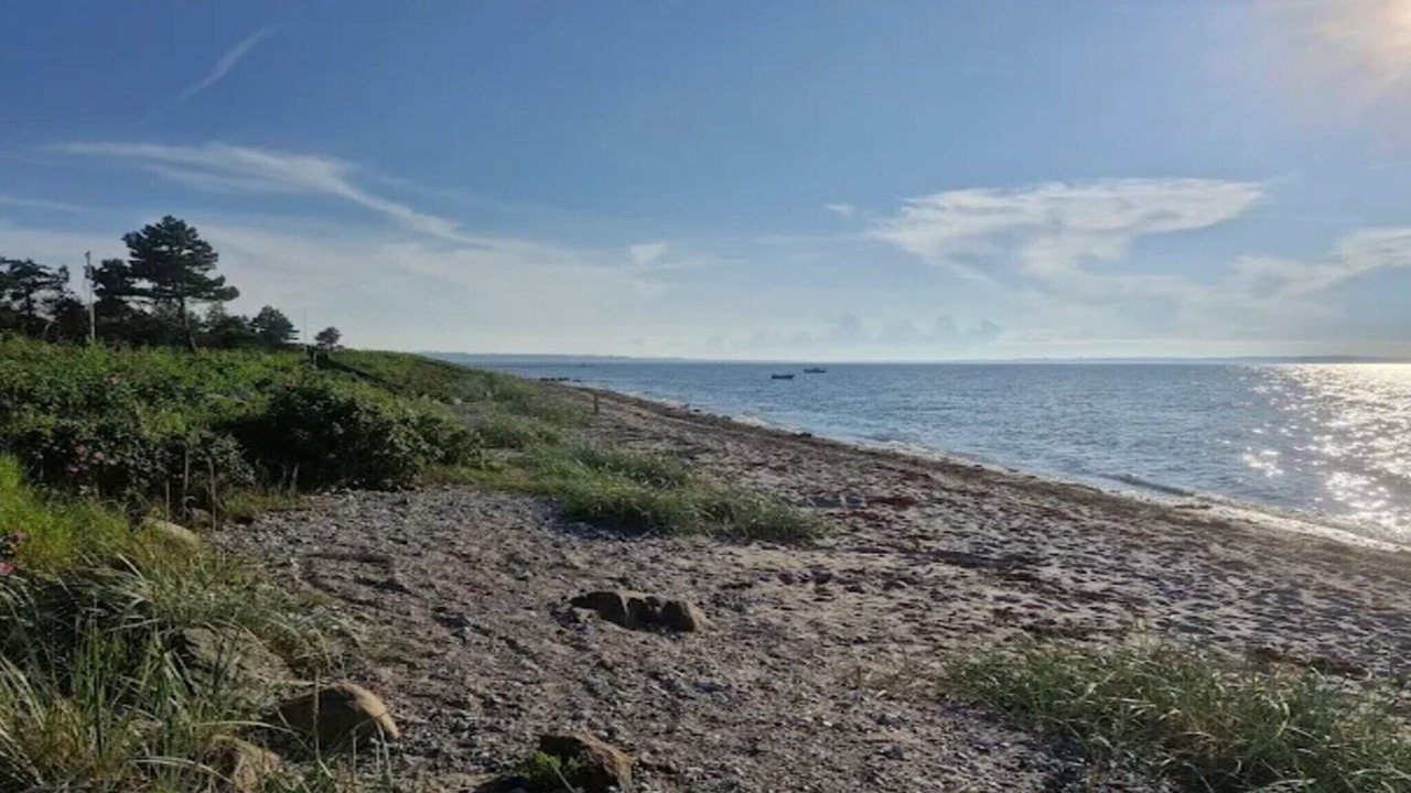 Photo of Others in Skastrup Strand