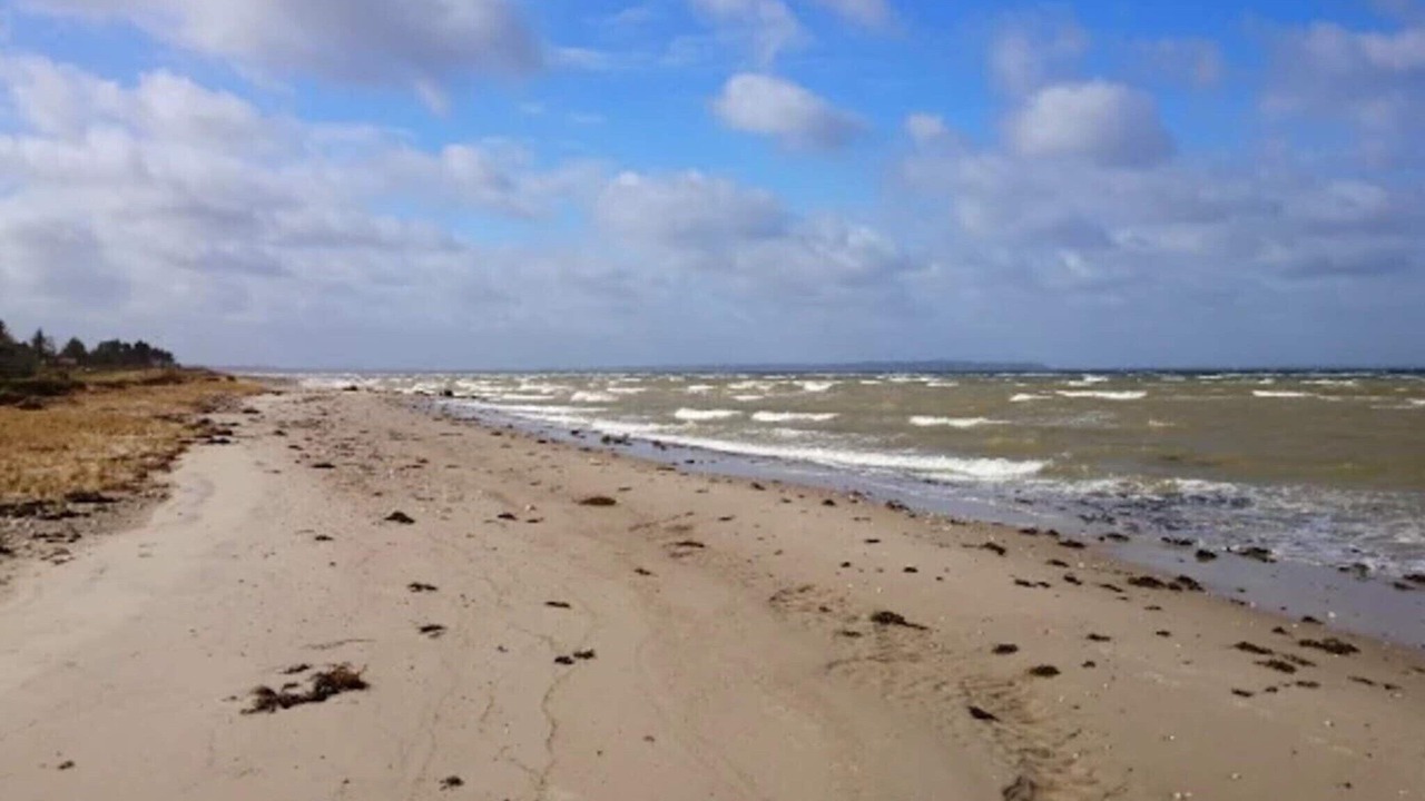 Photo of Others in Skastrup Strand