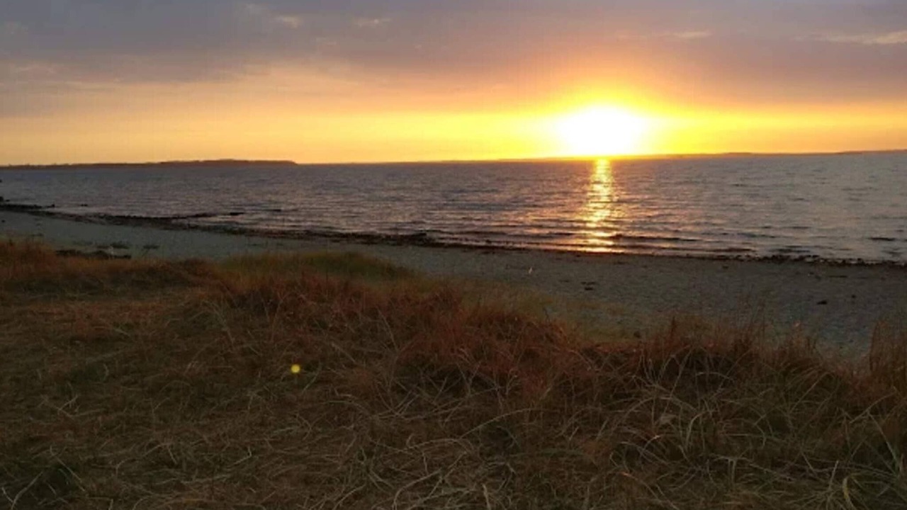 Photo of Others in Skastrup Strand