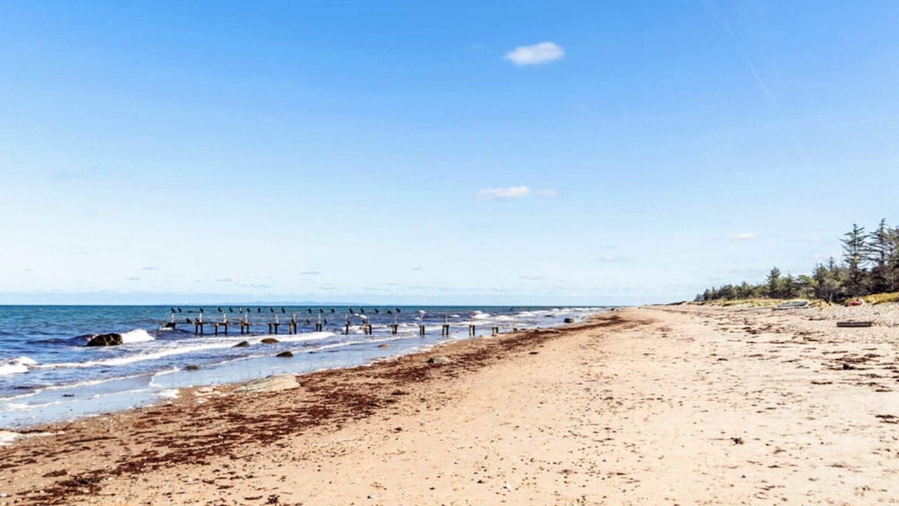 Photo of Others in Udsholt Sand
