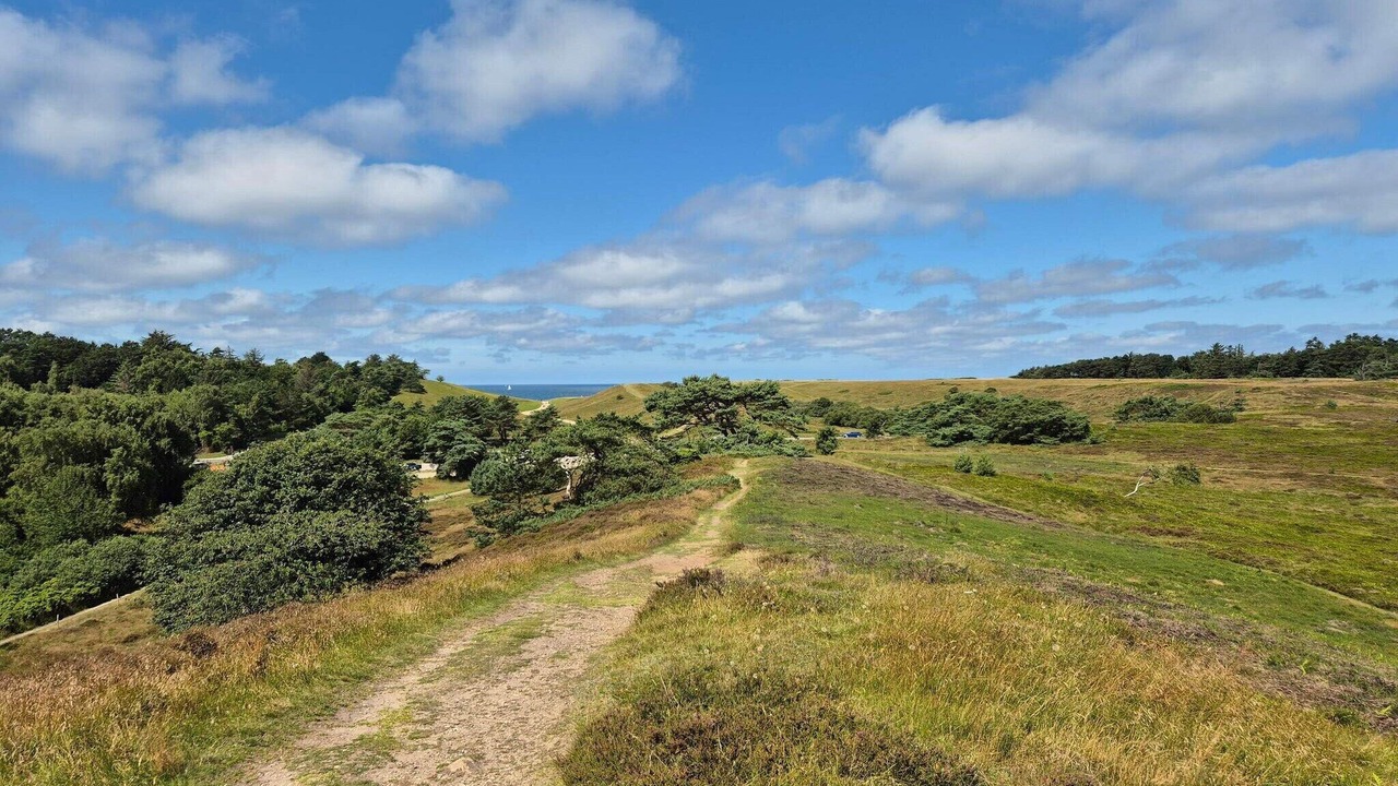 Photo of Others in Udsholt Sand