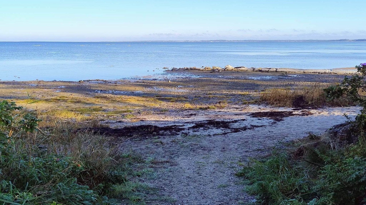 Photo of Others in Hvalpsund