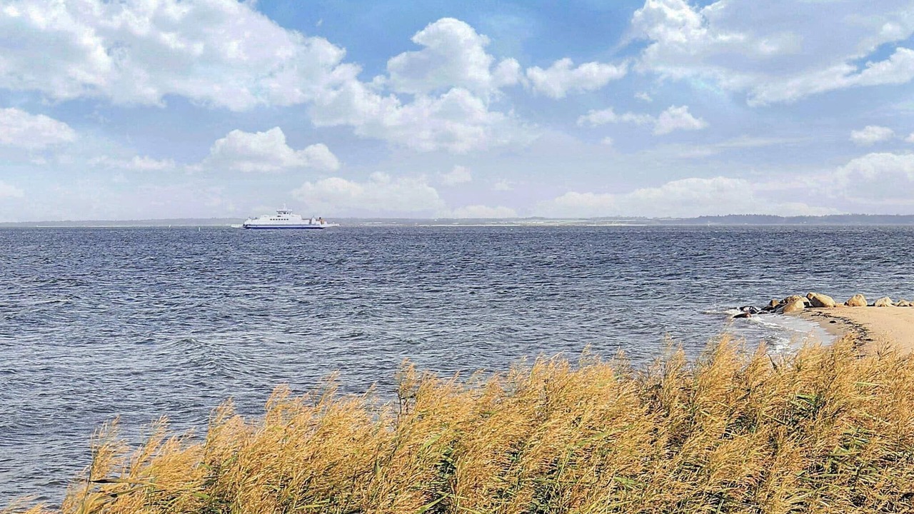 Photo of Others in Hvalpsund