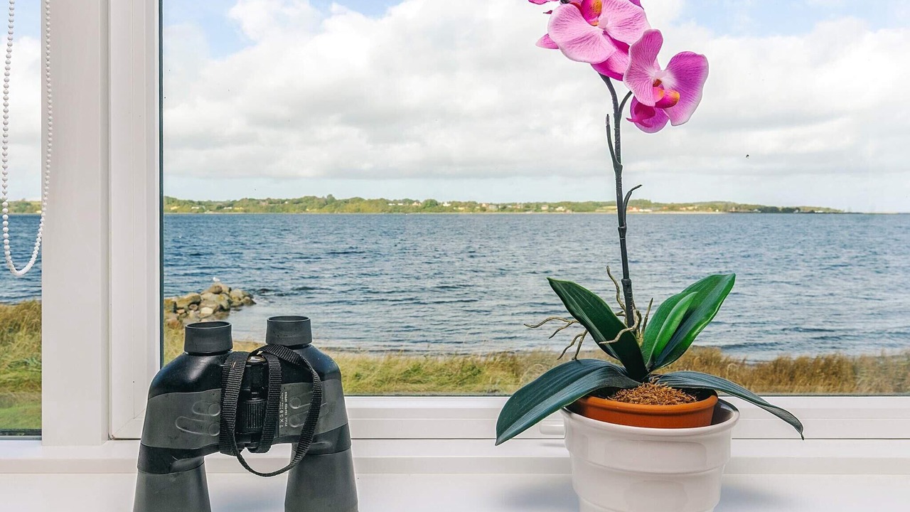 Photo of Others in Hvalpsund