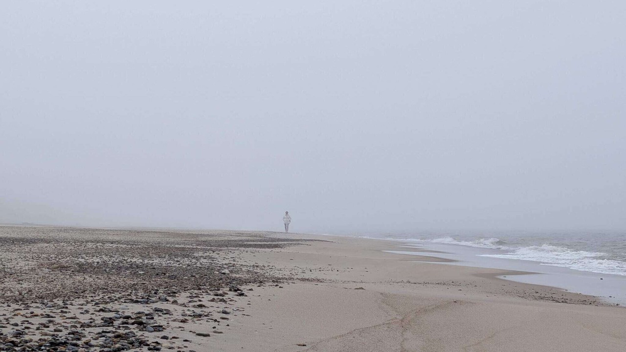 Photo of Others in Vedersø Klit