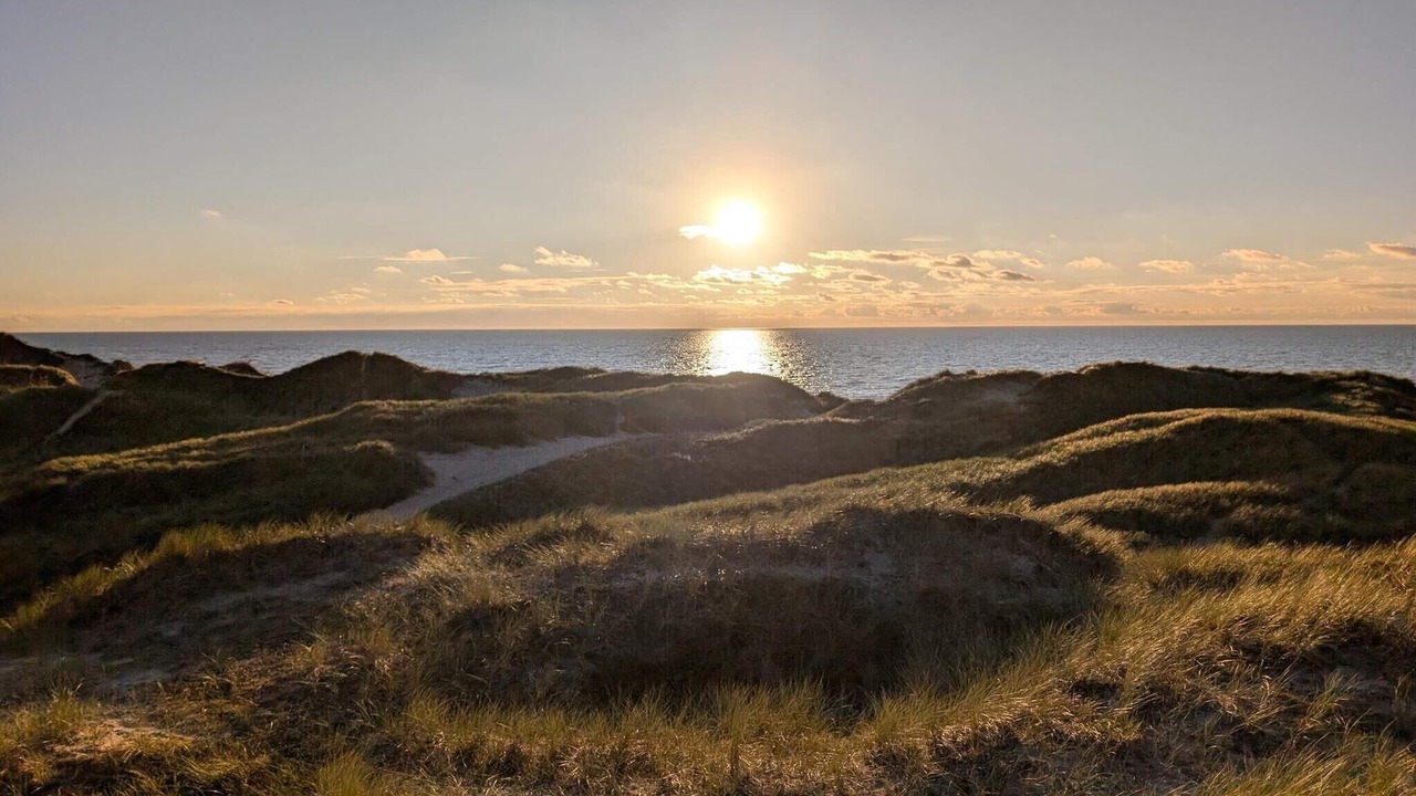 Photo of Others in Vedersø Klit