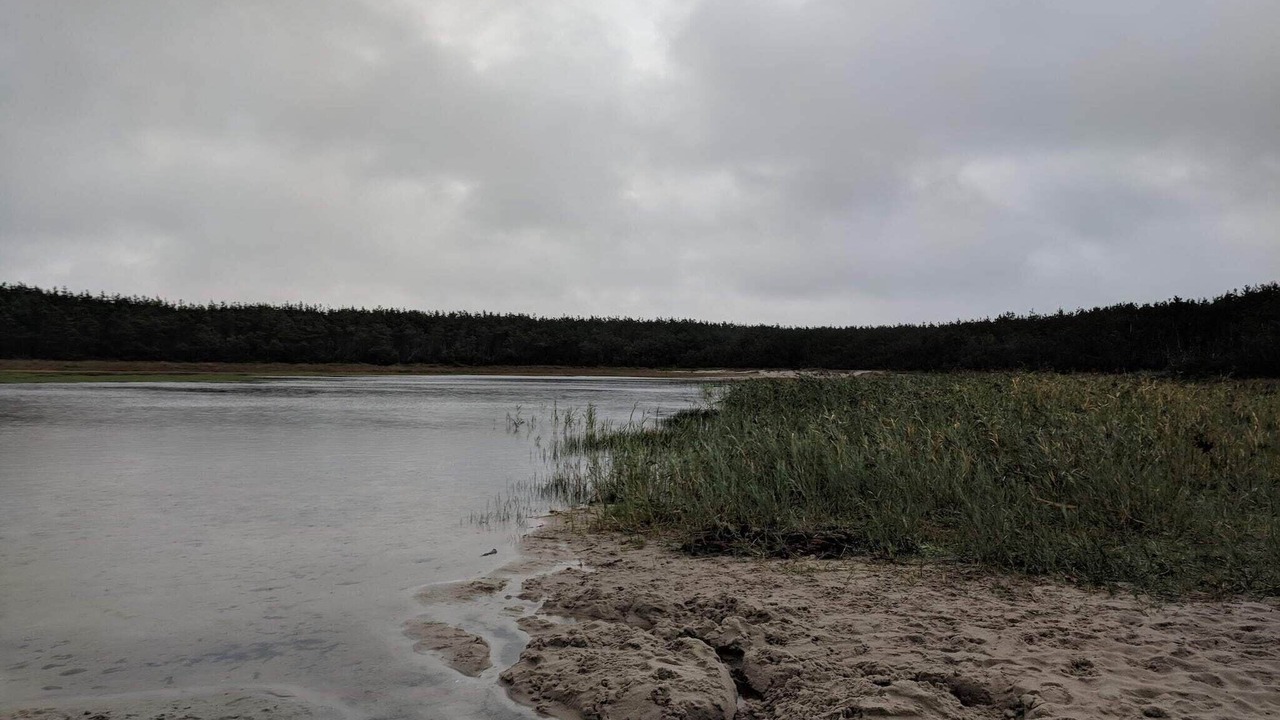 Photo of Others in Vedersø Klit