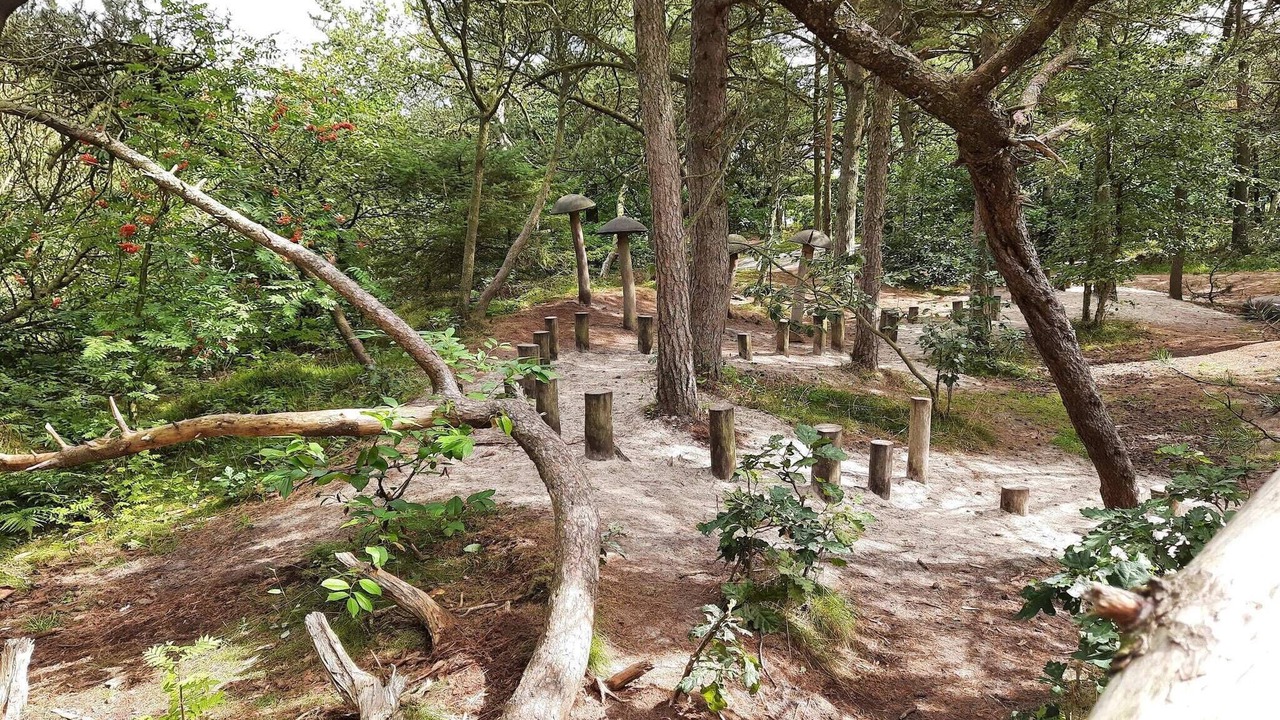Photo of Outdoor in Kongsmark