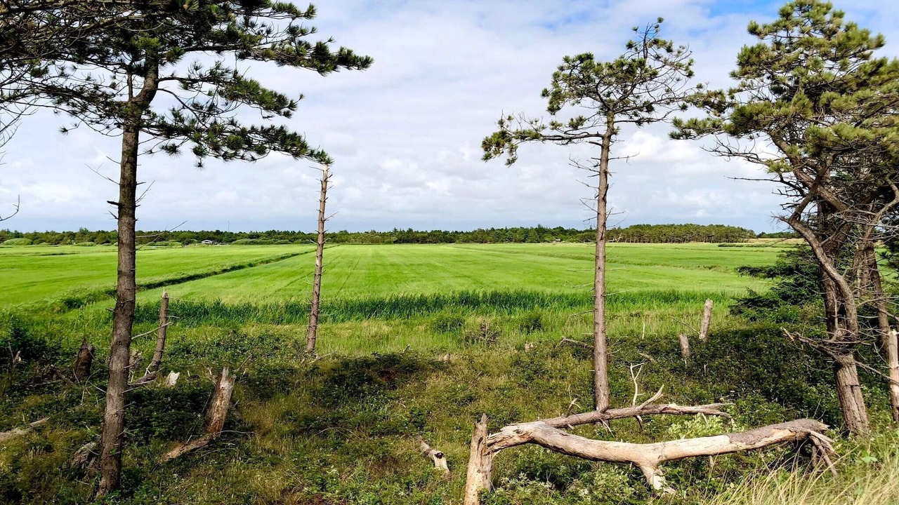 Photo of Others in Kongsmark
