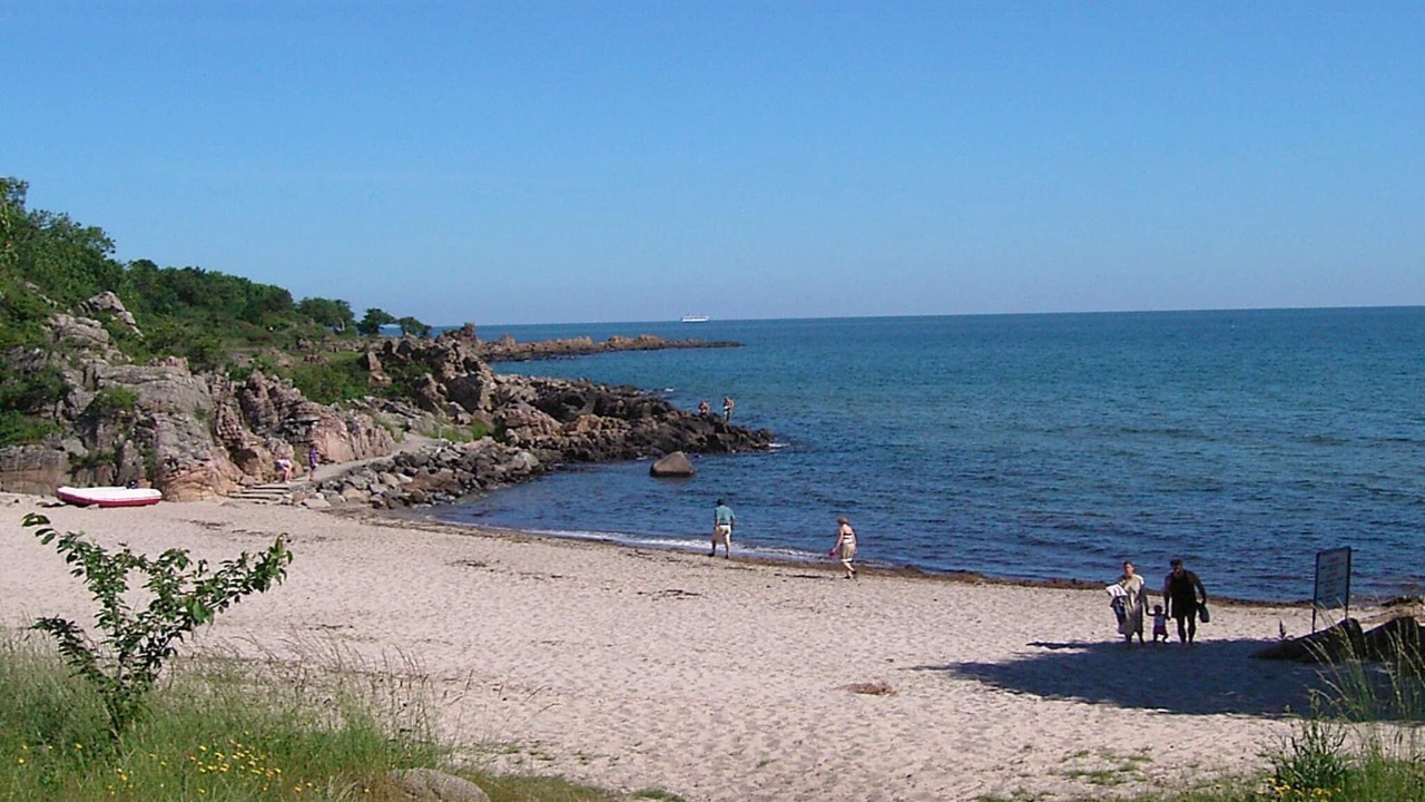 Photo of Others in Sandkaas