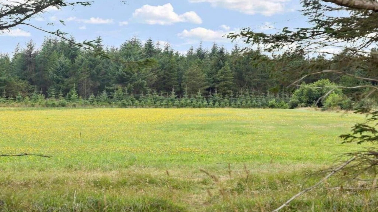 Photo of Others in Bedsted