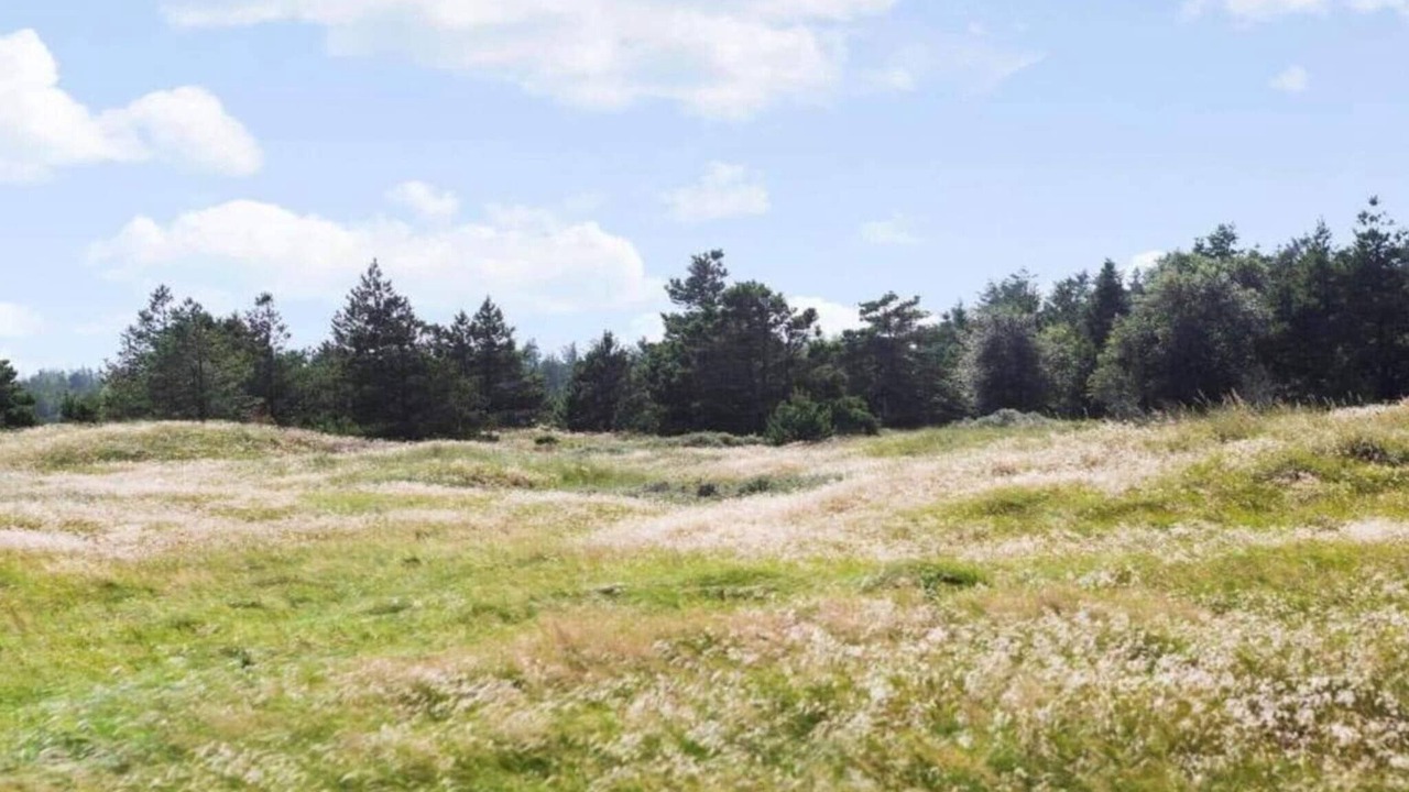 Photo of Others in Bedsted