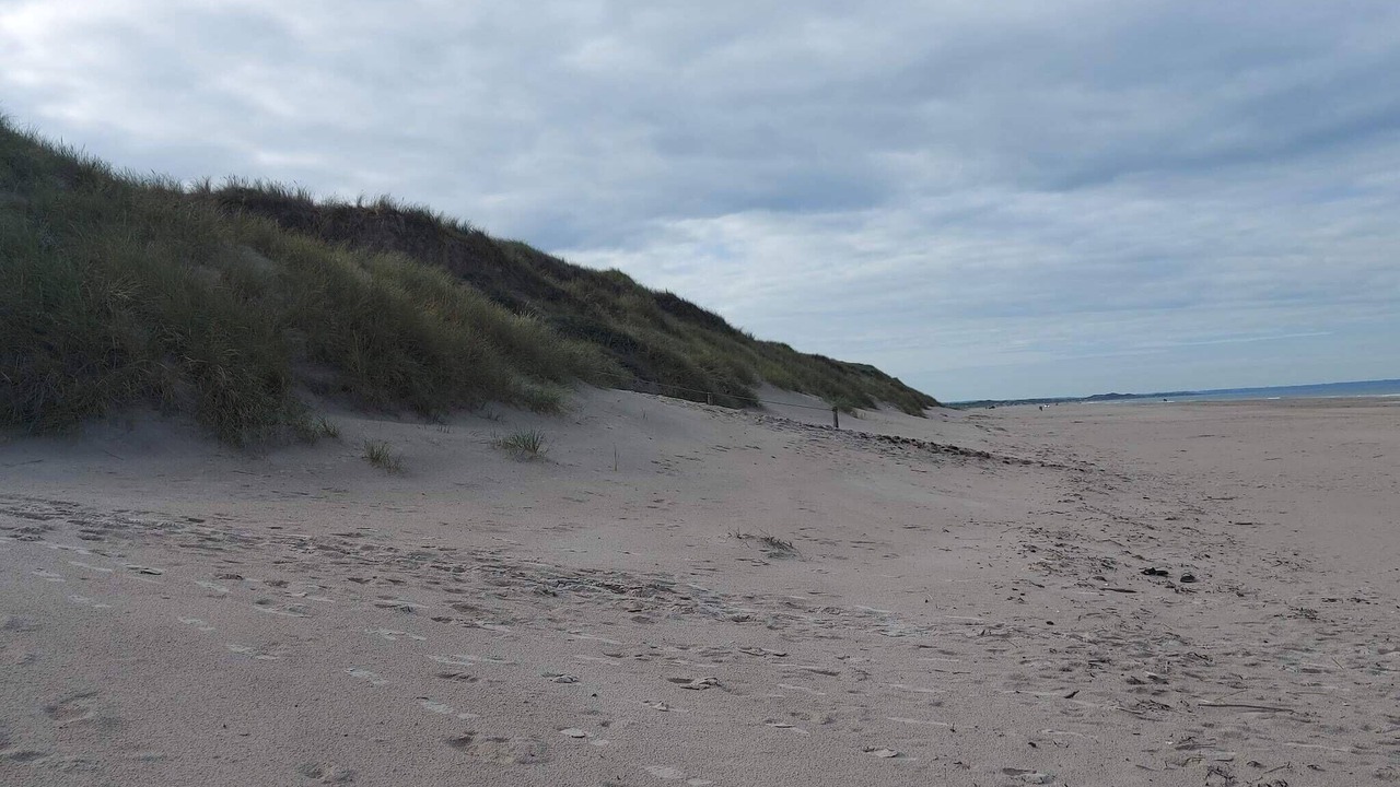Photo of Others in Rødhus